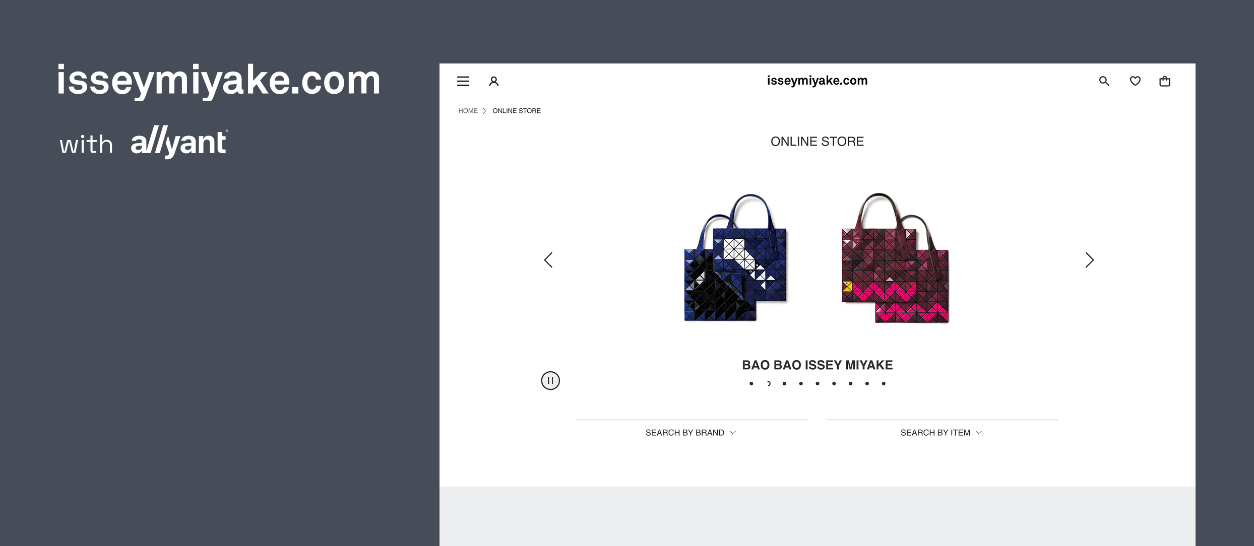 Issey Miyake ADA Compliance with Allyant