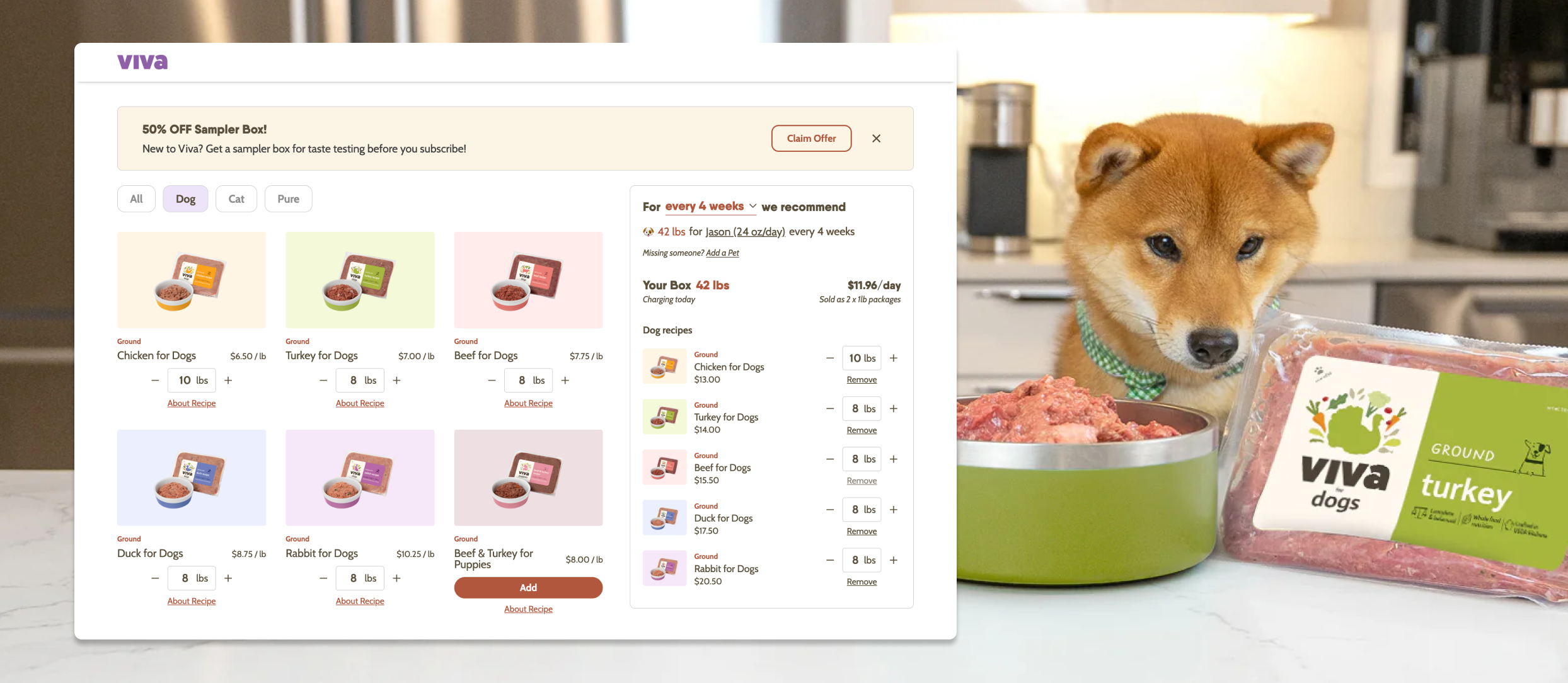 Viva Raw: Subscription